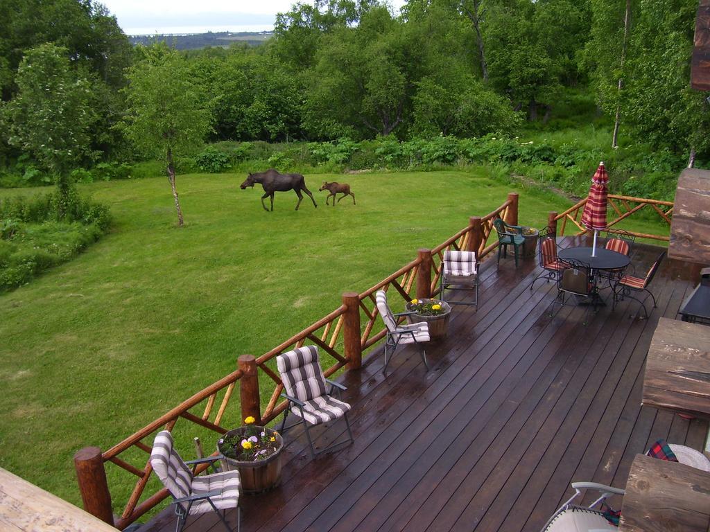 Juneberry Lodge Homer Εξωτερικό φωτογραφία
