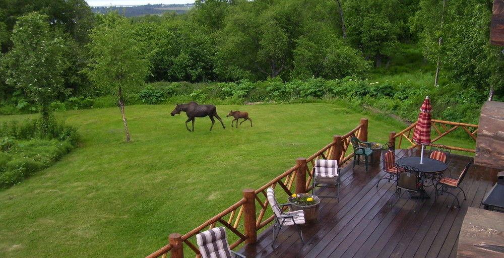 Juneberry Lodge Homer Εξωτερικό φωτογραφία
