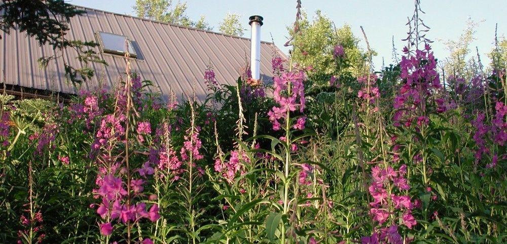 Juneberry Lodge Homer Εξωτερικό φωτογραφία