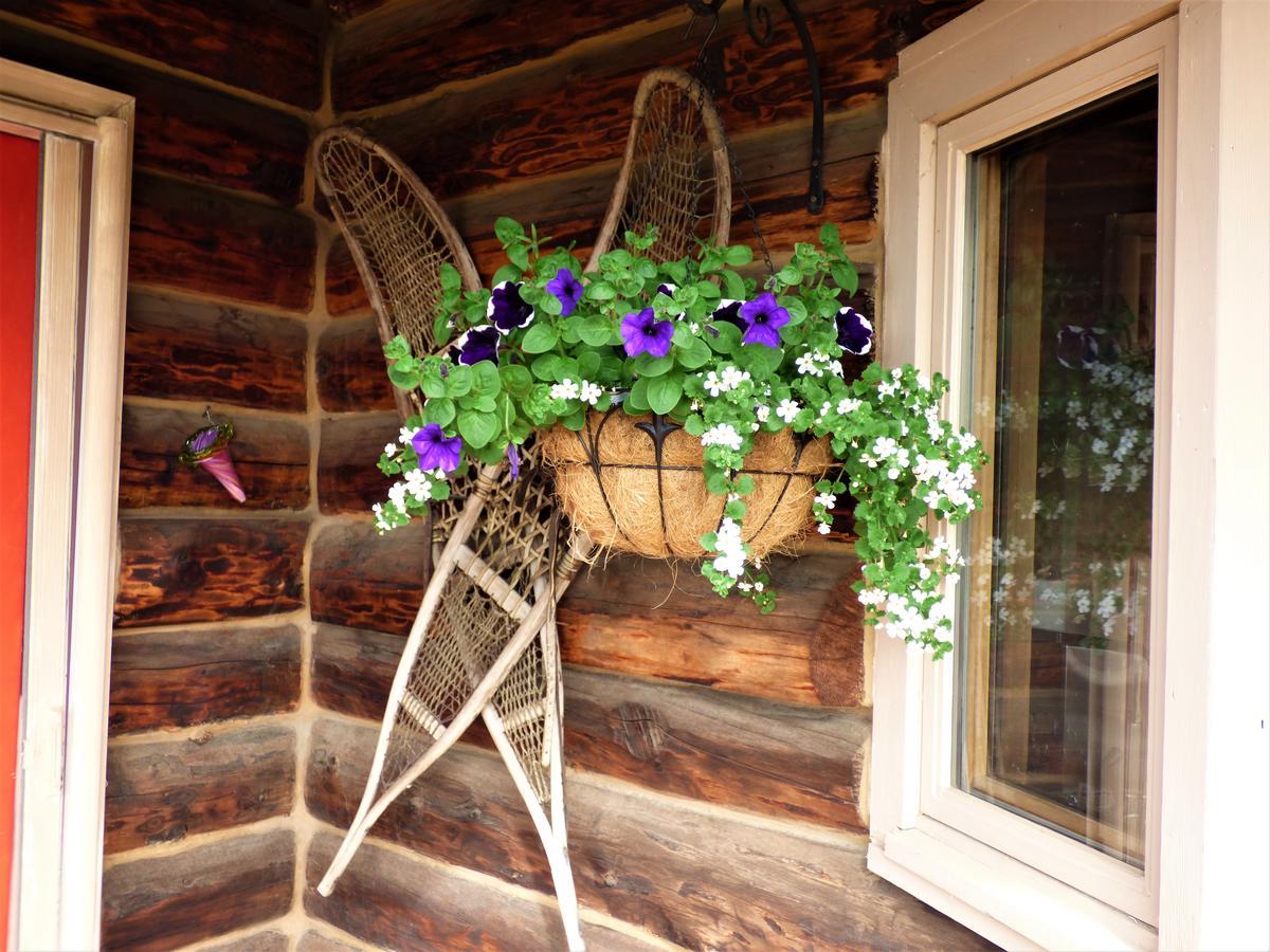 Juneberry Lodge Homer Εξωτερικό φωτογραφία